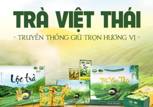 Trà Việt Thái – Tinh Hoa Trà Xanh Từ Vùng Đất Phúc Thuận, Thái Nguyên