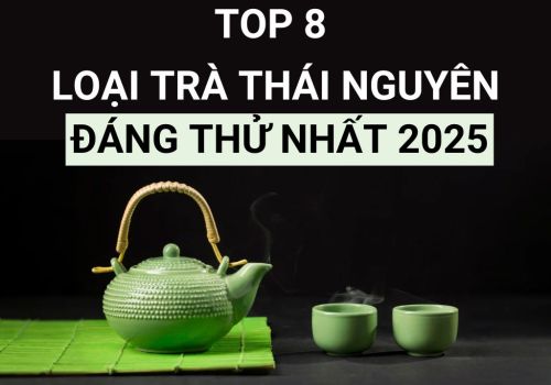 TOP 8 Loại Trà Thái Nguyên Đáng Thử Nhất 2025