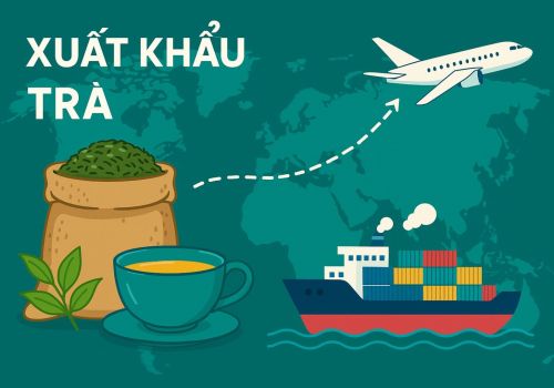 Xuất Khẩu Trà – Cơ Hội, Rào Cản Và Cách Mở Đường Cho Trà Việt Nam Ra Thế Giới!