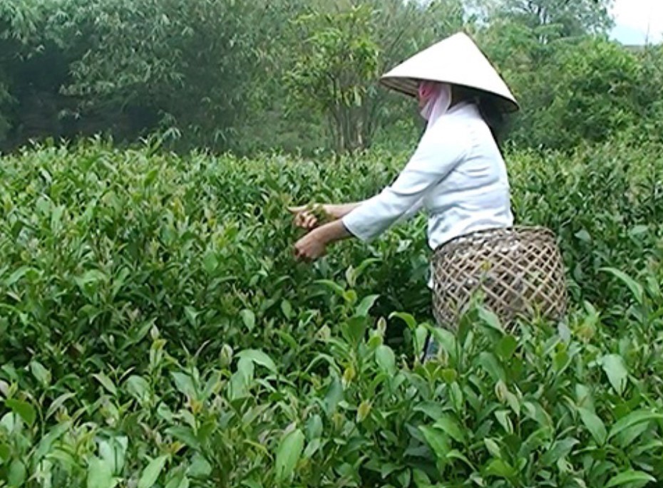 che-bat-tien-tra-bat-tien