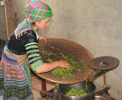 che-bien-che-shan-tuyet