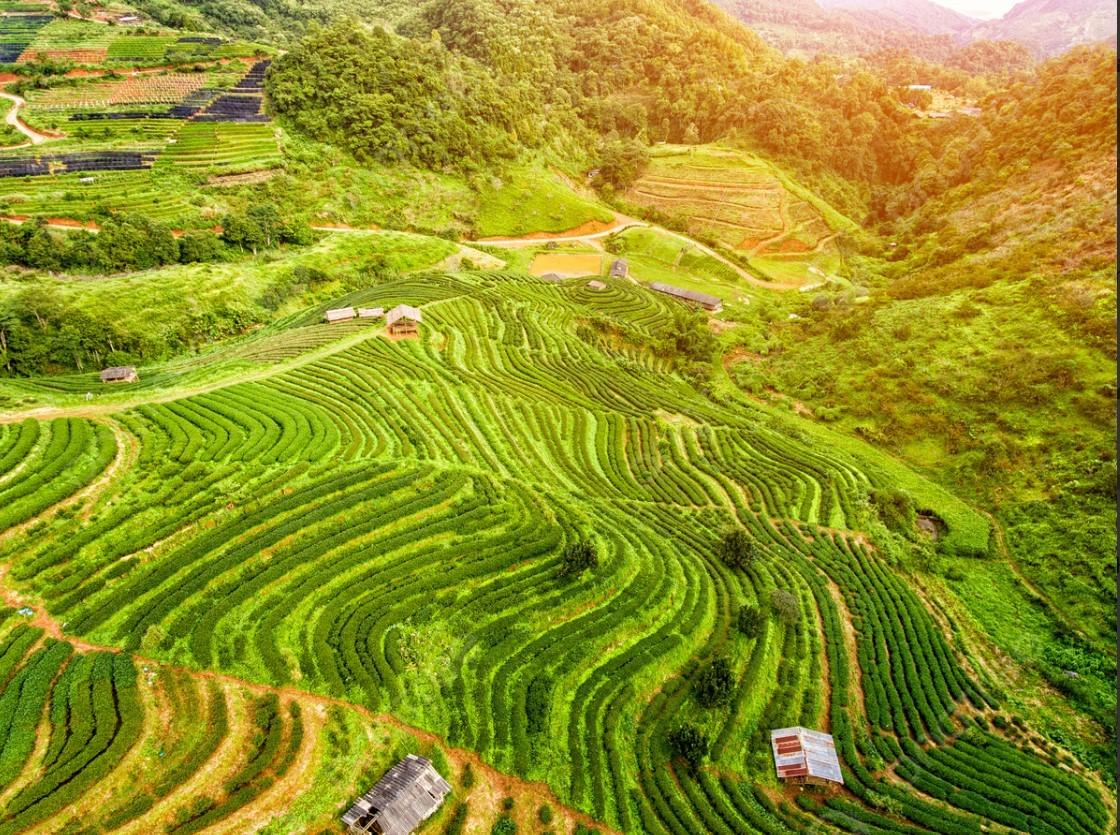 che-vung-cao-dan-toc-thieu-so